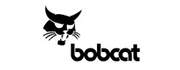 Bobcat